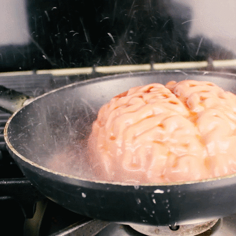 Brain frying pan GIF - Find on GIFER