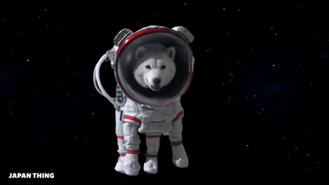 Japan dogs astronaut GIF - Find on GIFER
