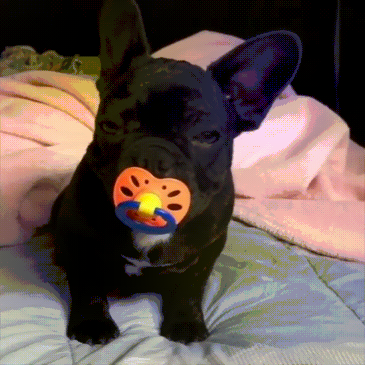 Bebe Frances Gif On Gifer By Mokelv