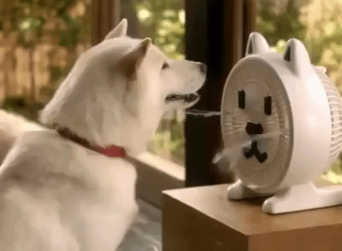 Japan dogs fan GIF on GIFER - by Mezigal