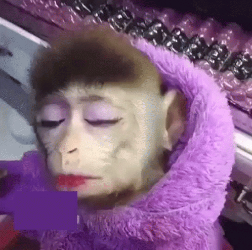 GIF monkey makeup reactions - animated GIF on GIFER