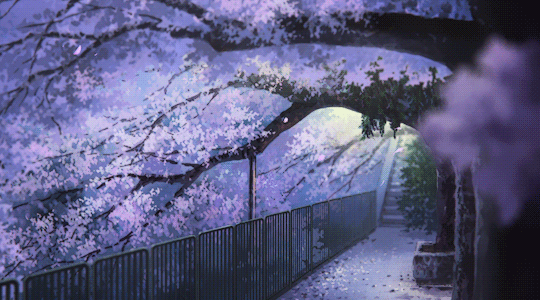 Cherry Blossoms, Sakura GIF by Degonia on DeviantArt