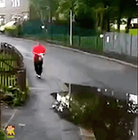 g2Ay.gif