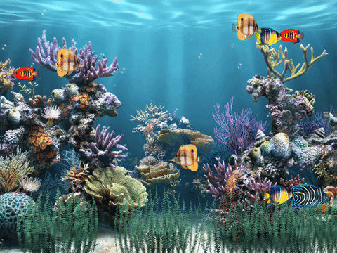 3d Wallpaper Aquarium Background - Fish Tank Background Green Blue Aquarium  - Aliexpress
