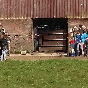 https://i.gifer.com/g2Z3.gif