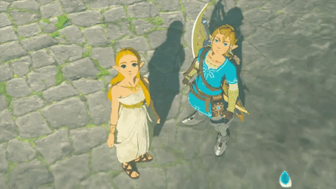 Zelda the legend of zelda link GIF on GIFER - by Dilrajas
