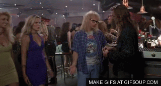 [Image: g4z.gif]
