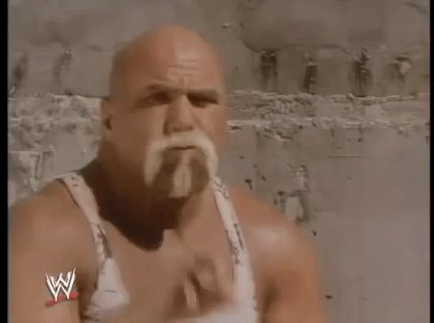 Гифка хорошо ок wwe гиф картинка, скачать анимированный gif на GIFER от ...
