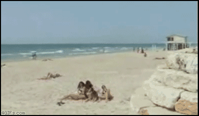 Скачать гифку фейл, пляж, сальто, - анимированный gif кувырок, упал лицом, ...