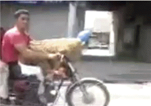 safety first скачать Safety first скачать.