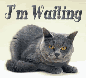 Allergies sneeze sneezing GIF on GIFER - by Maririm