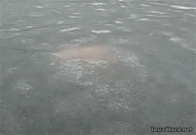 iCD.gif