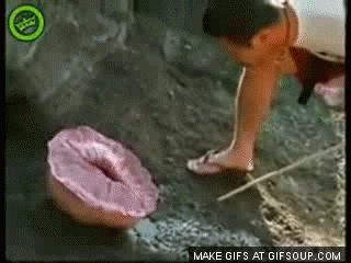 Fish Squirting Out Of Vagina Fish Squirting Out Of Vagina