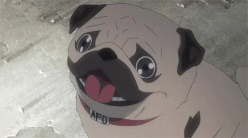 iav.gif