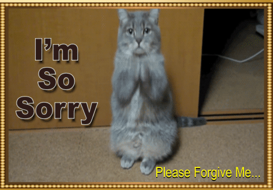 im sorry please forgive me cat