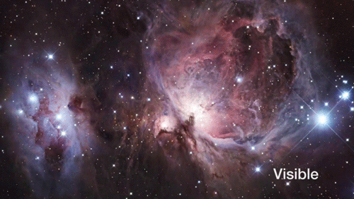 Orion nebula eso astronomy GIF on GIFER - by Perigra