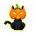 kitty