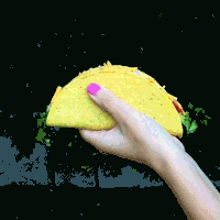 Summer Break Spaghetti Tacos Gifs Get The Best Gif On Gifer