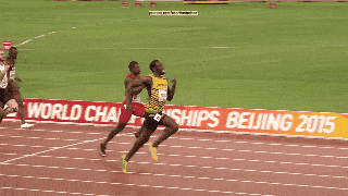 02fa810fa56345c5dd2a5d84affa1804.gif