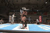 Young Bucks Gifs Get The Best Gif On Gifer