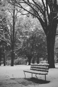 043698c3ed01aa398e3323607a46493f_w200.gif