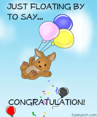 Congratulations GIFs - Get the best gif on GIFER