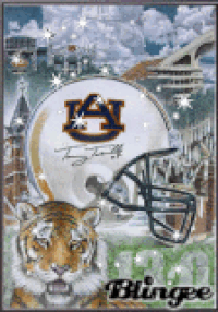 War Eagles Auburn Tigers GIF - War Eagles Auburn Tigers Oh Yes Baby -  Discover & Share GIFs
