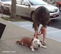 Refuse GIFs - Get the best gif on GIFER
