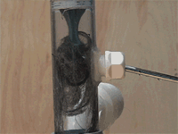 Clogged toilet GIFs - Get the best gif on GIFER