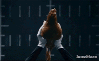 Hen GIFs - Get the best gif on GIFER