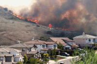 Disaster GIFs - Get the best gif on GIFER