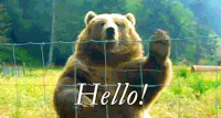 Hello Hi GIF - Hello Hi Hola GIFs