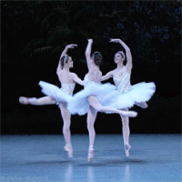 Ballet GIF - Conseguir el mejor gif en GIFER