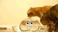 Reallifedoodles GIFs - Get the best gif on GIFER