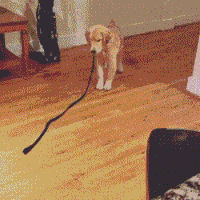 Reallifedoodles GIFs - Get the best gif on GIFER