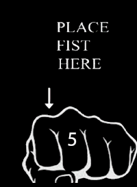 Place fist here bro Very pity place fist here bro