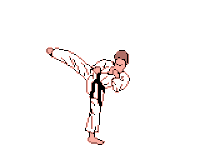 Gif di calcio di karate