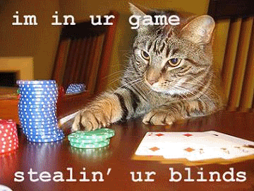 cats playing poker gif