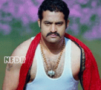 Ntr GIFs - Get the best gif on GIFER
