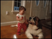 Andrew Bernard Gifs Get The Best Gif On Gifer