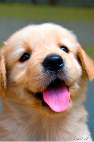 10f285f29fa832d722495d199bd6a201.gif