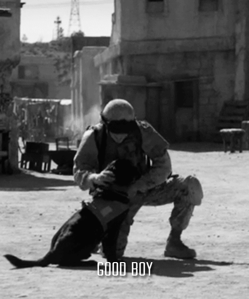 Findthemap гифки, анимированные GIF изображения findthemap скачать