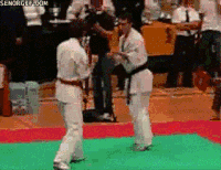 karate kid kick gif