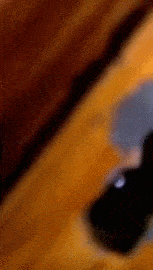 Inexplicavel GIF - Conseguir o melhor gif em GIFER