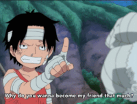 Luffy And Ace Gifs Get The Best Gif On Gifer