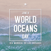 World Oceans Day Gifs Get The Best Gif On Gifer