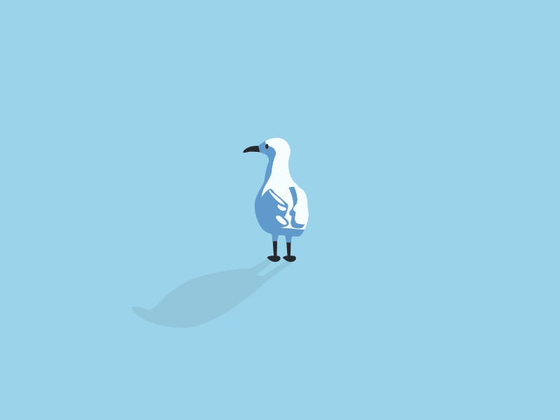 Mouette GIFs Get the best gif on GIFER