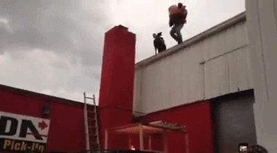 Czw GIFs - Get the best gif on GIFER