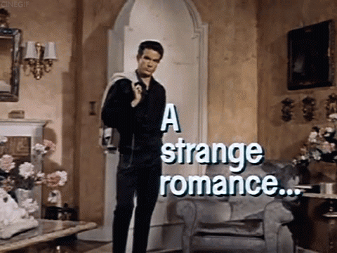 The Roman Spring Of Mrs Stone GIFs Hole Dir Die Besten GIFs Auf GIFER the-roman-spring-of-mrs-stone-gifs-hole-dir-die-besten-gifs-auf-gifer