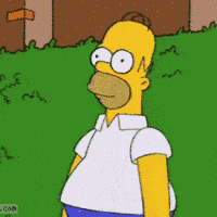 Copy paste GIFs - Get the best gif on GIFER